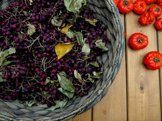Red rowan in a wicker basket on the burlap background