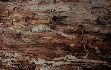 Fototapeta na wymiar background wood