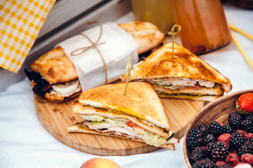 Picnic set with fruit, cheese, toast, honey, wine with a wicker basket on bedspread. Beautiful summer background with food and drink on nature