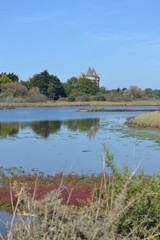Suscinio - Morbihan - Vue - Nature - Château