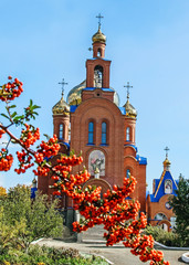 The orthodox Church of THE HOLY APOSTLES AND THE GOSPEL JOHN OF BOGHOSLOV. A branch of red sea-buckthorn with a blurred focus. Pokrov city, Ukraine, 2017