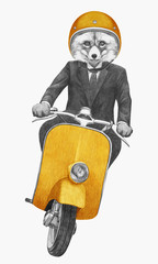 Fox rides scooter. Hand-drawn illustration.