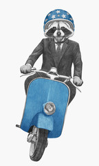 Raccoon rides scooter. Hand-drawn illustration.