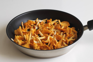 Poêlée de giroles.