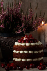 Red velvet cake on dark background