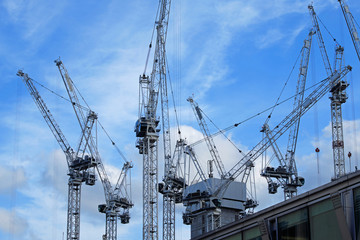 Skyscape dominated by tower cranes at a large construction site in UK