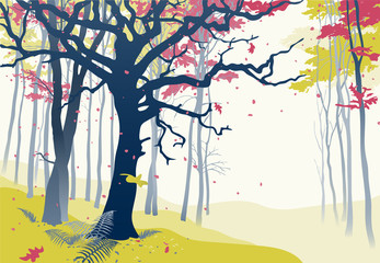 Fototapety  Las jesienią. Ręcznie rysowane ilustracji wektorowych leśnej scenerii z okazałym dębem, spadającymi liśćmi, żywe kolory.
