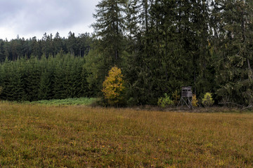 hunters posing on a meadow near a forest next to a colorful autumn tree