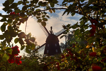 Fototapeta premium Britzer Mühle Berlin