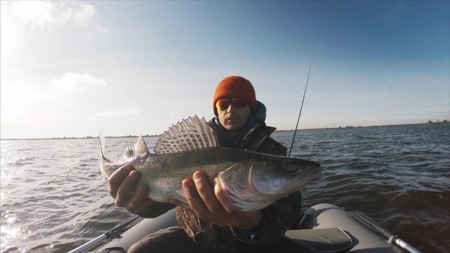 Amateur angler holds the Zander fish