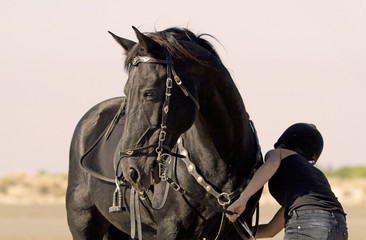 horsewoman on the beach