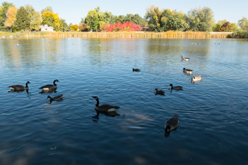 Fall Day in Lakewood Colorado