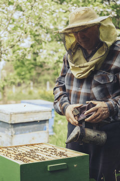Beekeeper Working On His Bee Hives with Bee Smoker