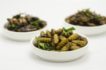 Thai North east food fried warm and grasshopper
