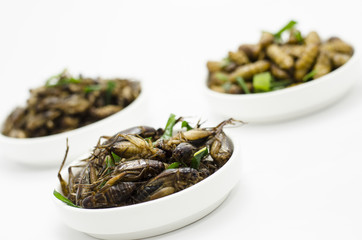Thai North east food fried warm and grasshopper