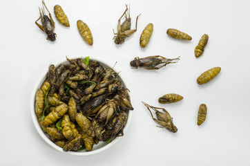 Thai North east food fried warm and grasshopper