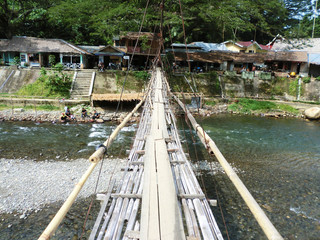 Holzbrücke im Dschungel - 176534398