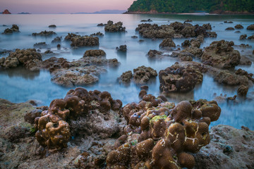 coral rock around beach during ebb tide and sunset time wide shot background