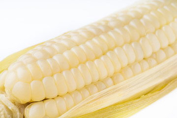 white corn isolated on white background