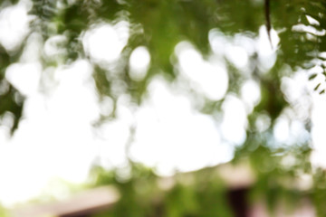 blur natural and light background