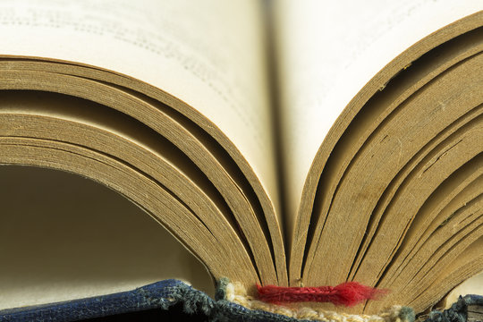 Book