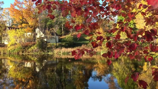 New England foliage lake and red leaves.