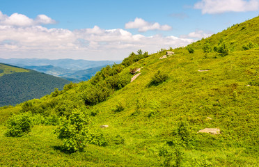 Obraz premium grassy slippery slope of mountain ridge. beautiful landscape in summer