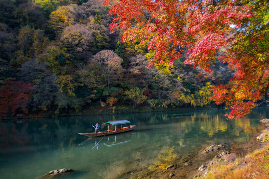 Boatman punting the boat for tourists to enjoy the autumn view along the bank of Hozu river in Arashiyama Kyoto, Japan.
