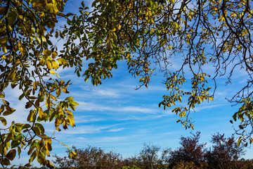 Goldener Herbst - Oktober 2017