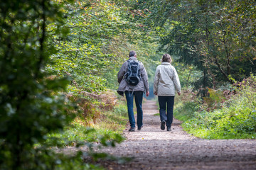 Spaziergang im herbstlichem Wald