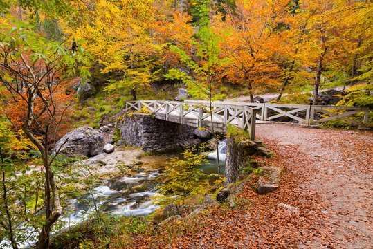 Bridge over Arazas river on autumn at Ordesa National Park