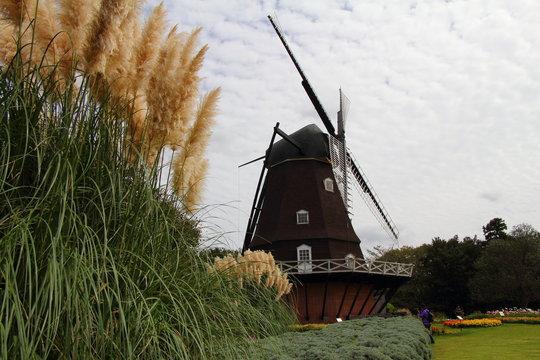 Andersen Park in Autumn / Andersen Park is a public park in Funabashi City, Chiba Prefecture.