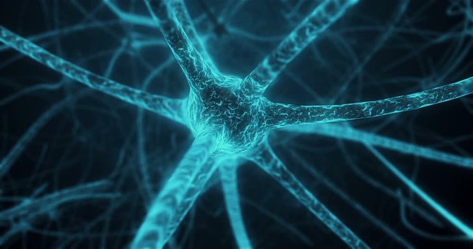 View of neuron center in process of synapse in neuron cell of neuronal human tissue