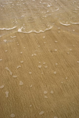 sand and sea