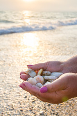 Sea stones in hands on the beach at sunset