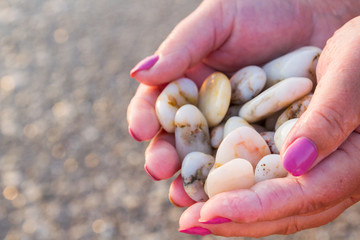 Sea stones in hands on the beach at sunset