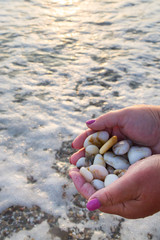 Sea stones in hands on the beach at sunset