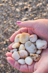 Sea stones in hands on the beach at sunset