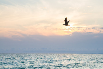 Beautiful sunset on the black sea