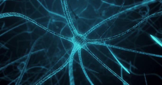 View of neuron in process of synapse in neuron cell of neuronal human tissue