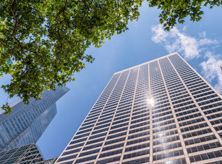 New York City - Manhattan skyline from street level