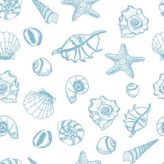 Shell and star fish seamless pattern. Hand drawn shells on white background.