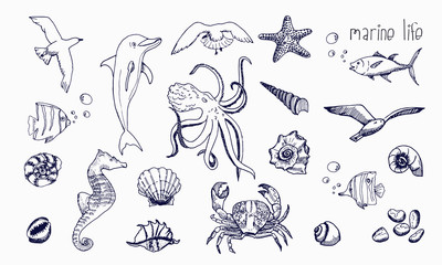 Sea creatures isolated on white background. Underwater animals hand drawn sketch.