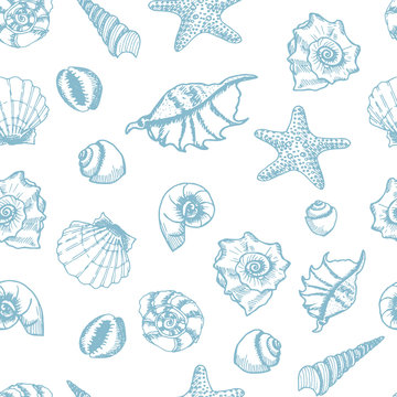 Shell and star fish seamless pattern. Hand drawn shells on white background.