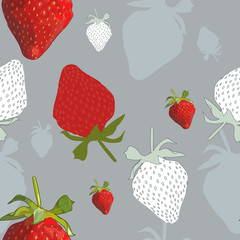 Fototapety  Strawberry seamless pattern. Hand drawn red berries and silhouettes on grey background.