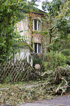 Storm damage with fallen trees and destroyed fence and pavilion after hurricane Xavier in Berlin, Germany