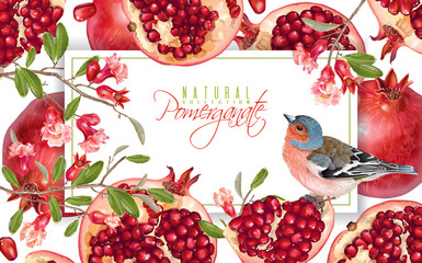 Pomegranate branch bird banner - 176549321