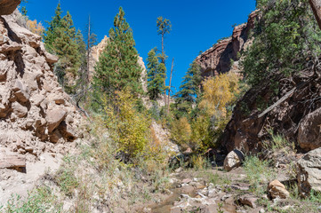 Views along a New Mexico Creek #7