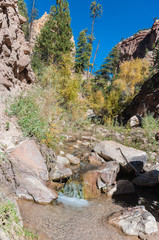 Views along a New Mexico Creek #6