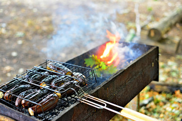 Shish kebabs are fried on the grill. Summer vacation on nature green grass sunny day. Relax on weekend.
